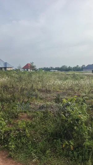 Plot for Sale Square Meters 2650 Mwanza Busweru