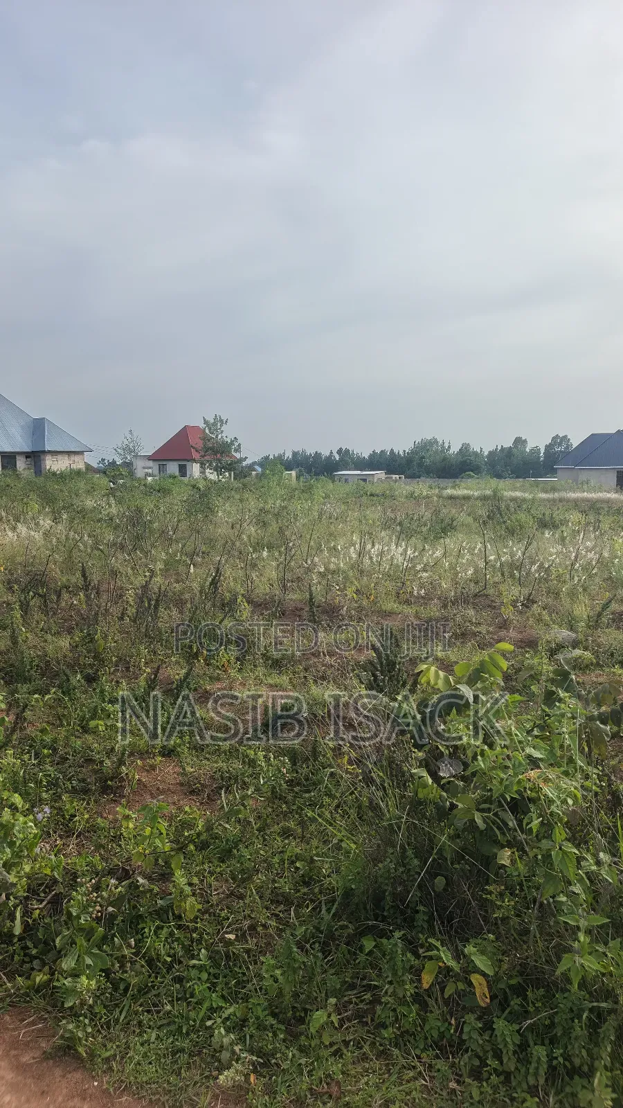 Plot for Sale Square Meters 2650 Mwanza Busweru