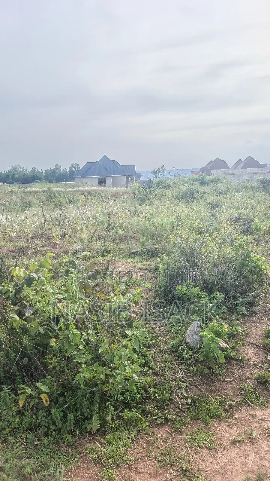Plot for Sale Square Meters 2650 Mwanza Busweru
