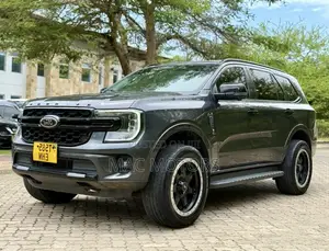 Ford Everest 2022 Gray