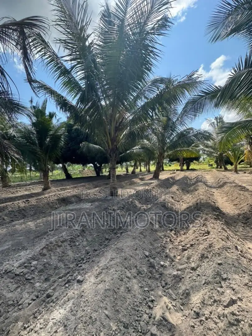 30 Acres Investment Farm Land for Sale at Vikindu