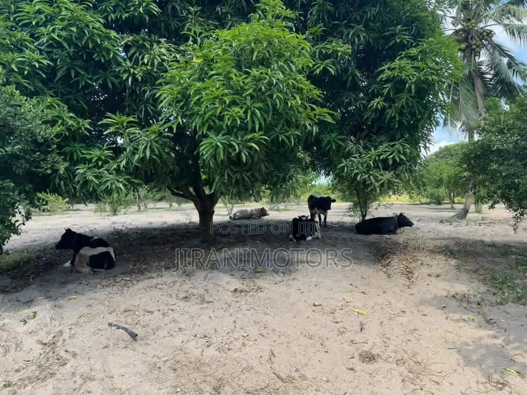 30 Acres Investment Farm Land for Sale at Vikindu