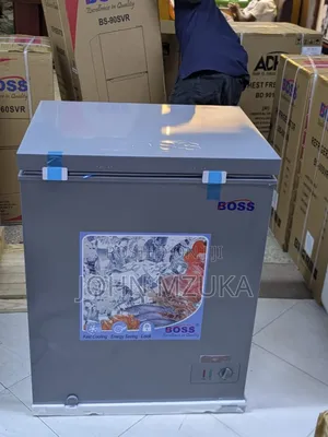 Freezer Liter 150 From Boss