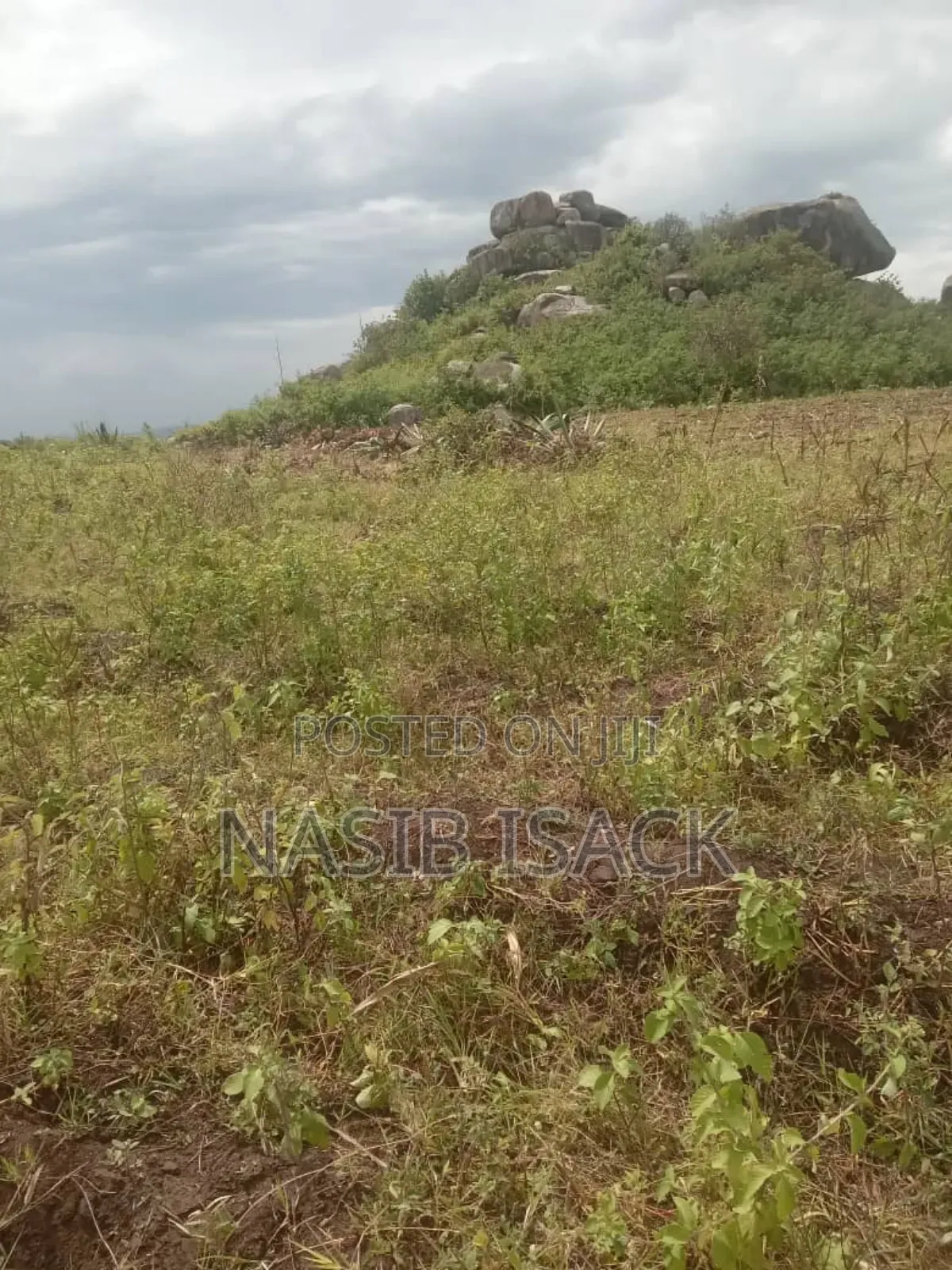 Plot for Sale