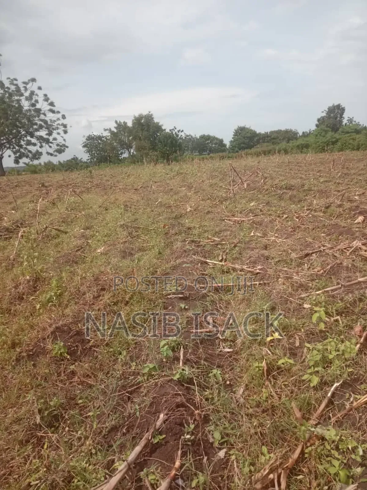 Plot for Sale