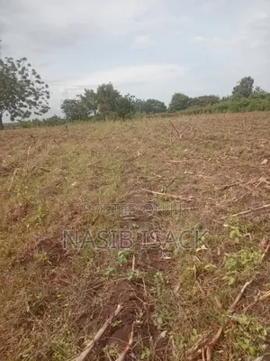 Plot for Sale