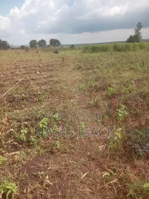 Plot for Sale