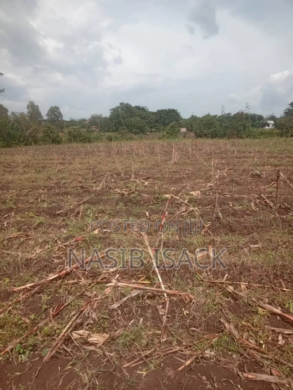 Plot for Sale