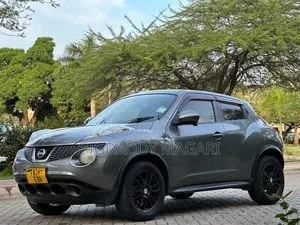 Nissan Juke 2011 Gray