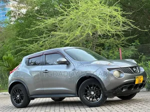 Nissan Juke 2011 Gray
