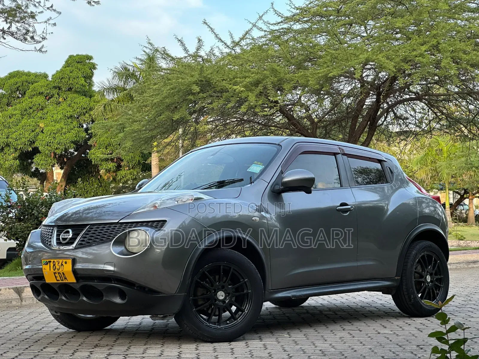 Nissan Juke 2011 Gray