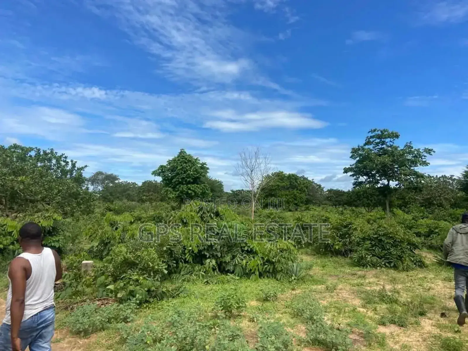 70 Acre of Land for Sale at Kwala Bagamoyo