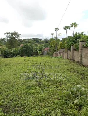 1.5 Acres for Sale at PPF Arusha