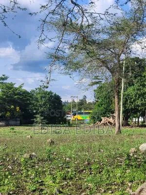 1200 Acres for Sale in Usa, Arusha