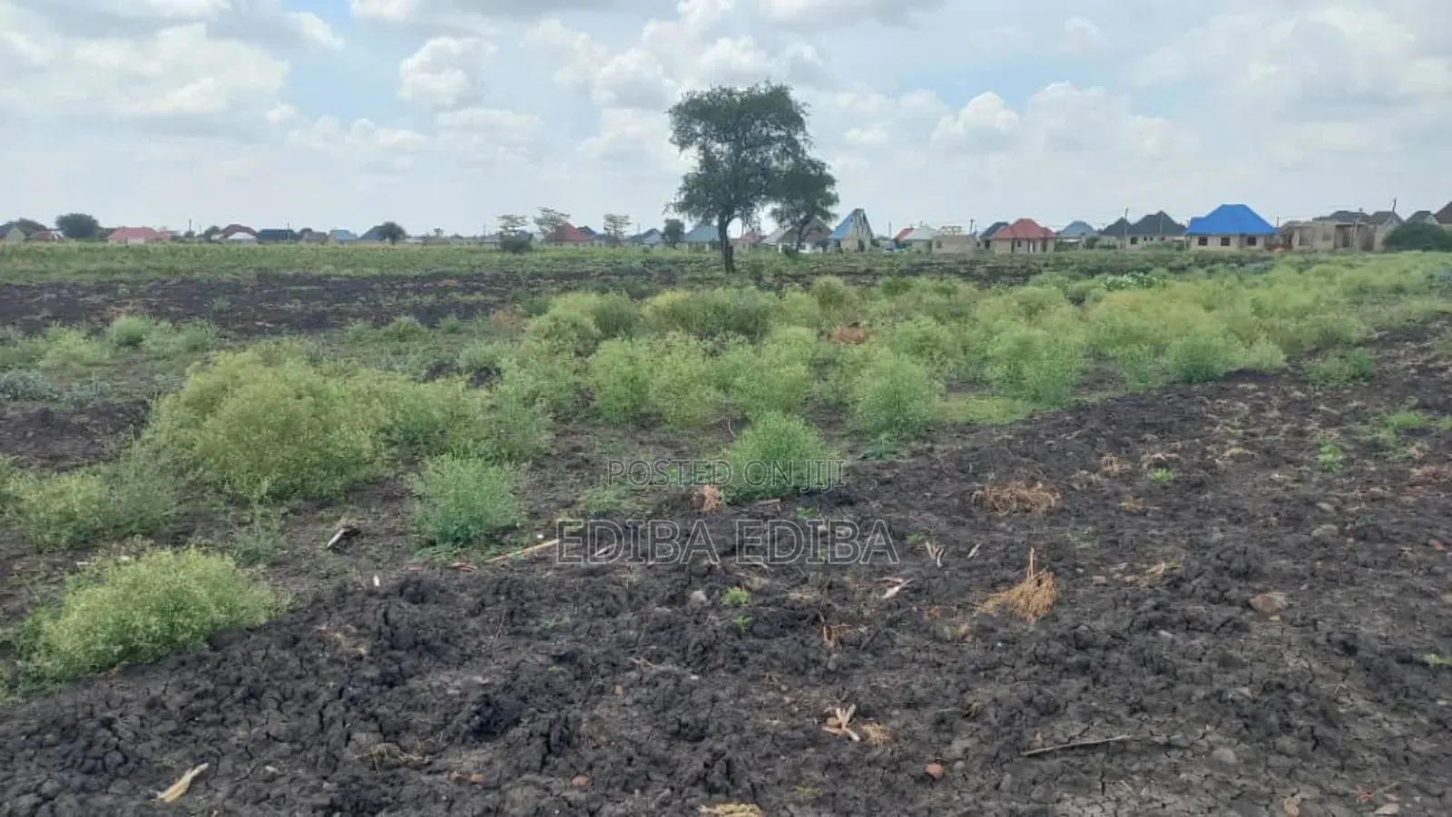1200 Acres for Sale in Usa, Arusha