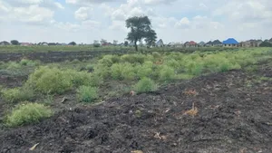 1200 Acres for Sale in Usa, Arusha