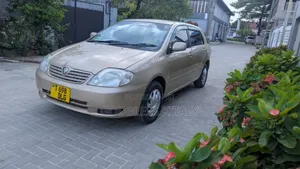 Toyota Corolla RunX 1.5 X AWD 2004 Gold