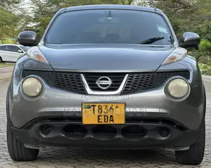 Nissan Juke 2011 Gray