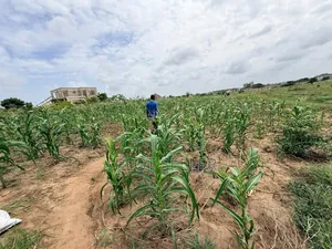 Plot SQM 1364 for Sale in Bunju Mabwepande With Title Deed