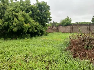 Kiwanja Kimegusa Lami Kinauzwa Salasala Mwanzo