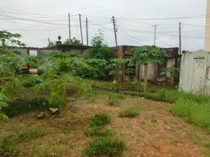 Kiwanja Kimegusa Lami Kinauzwa Salasala Mwanzo