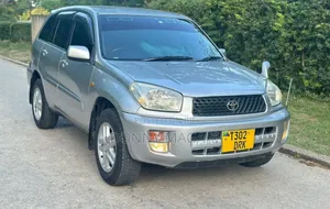 Toyota RAV4 2002 Silver