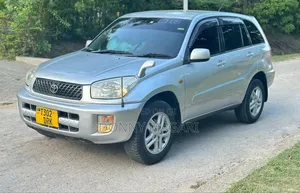 Toyota RAV4 2002 Silver