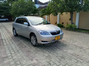 Toyota Allex 2005 Silver