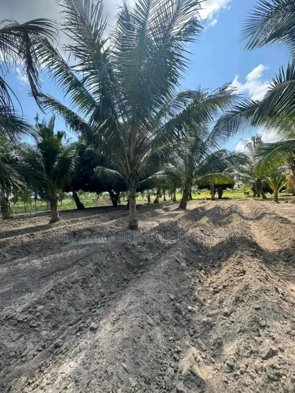 Farm With 30 Acres for Sale at Vikindu Mkuranga
