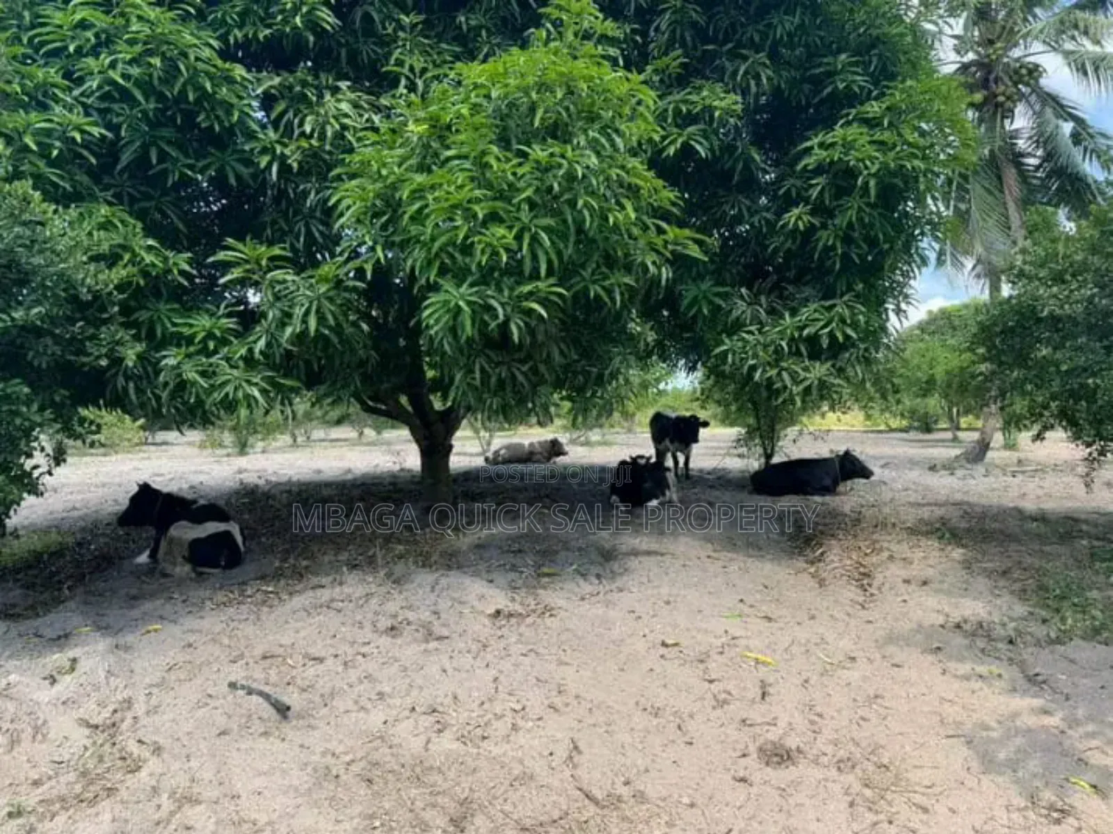 Farm With 30 Acres for Sale at Vikindu Mkuranga