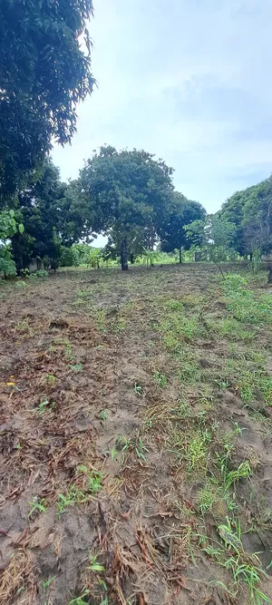 Eneo La Ekari 5.7linauzwa Mapinga