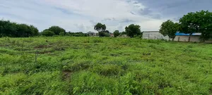 Eneo La Ekari 5.7linauzwa Mapinga