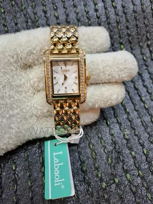 Labaoli Brand Women's Original and Waterproof Watches Ogg