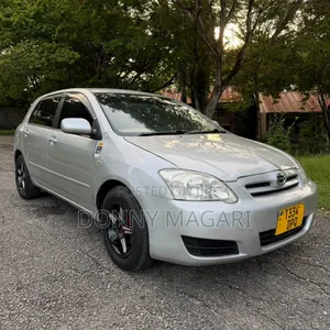 Toyota Corolla RunX 2004 Silver