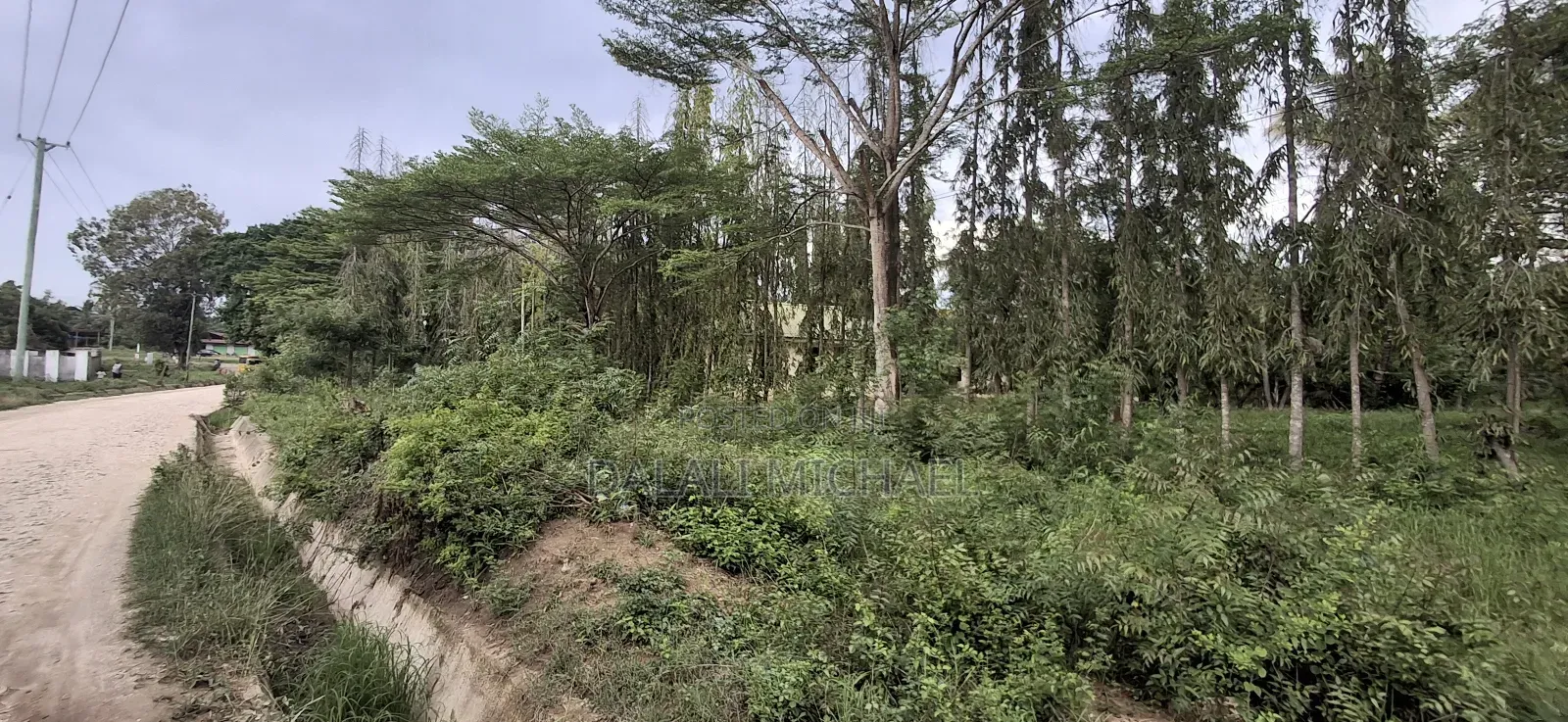 Plot For Sale Boko Magengeni
