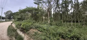 Plot For Sale Boko Magengeni