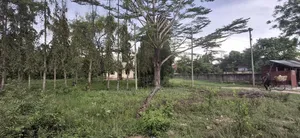 Plot For Sale Boko Magengeni