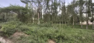 Plot For Sale Boko Magengeni