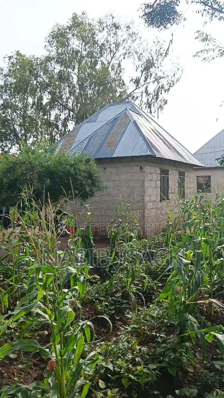 Plot for Sale Busweru Nyamadoke