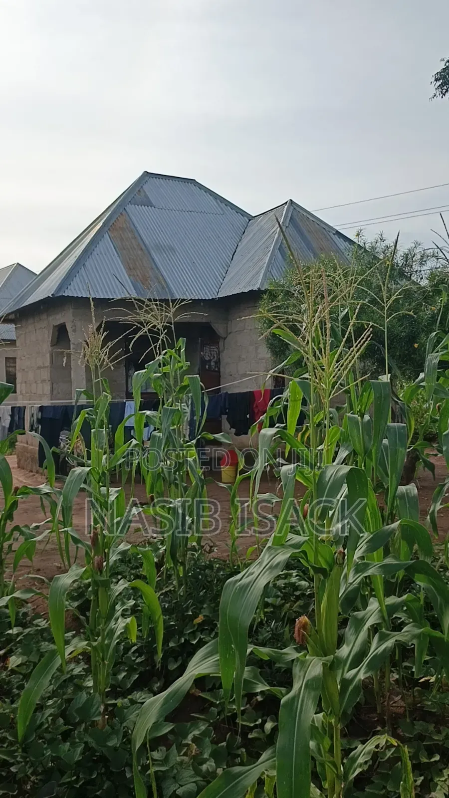 Plot for Sale Busweru Nyamadoke