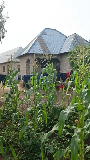 Plot for Sale Busweru Nyamadoke