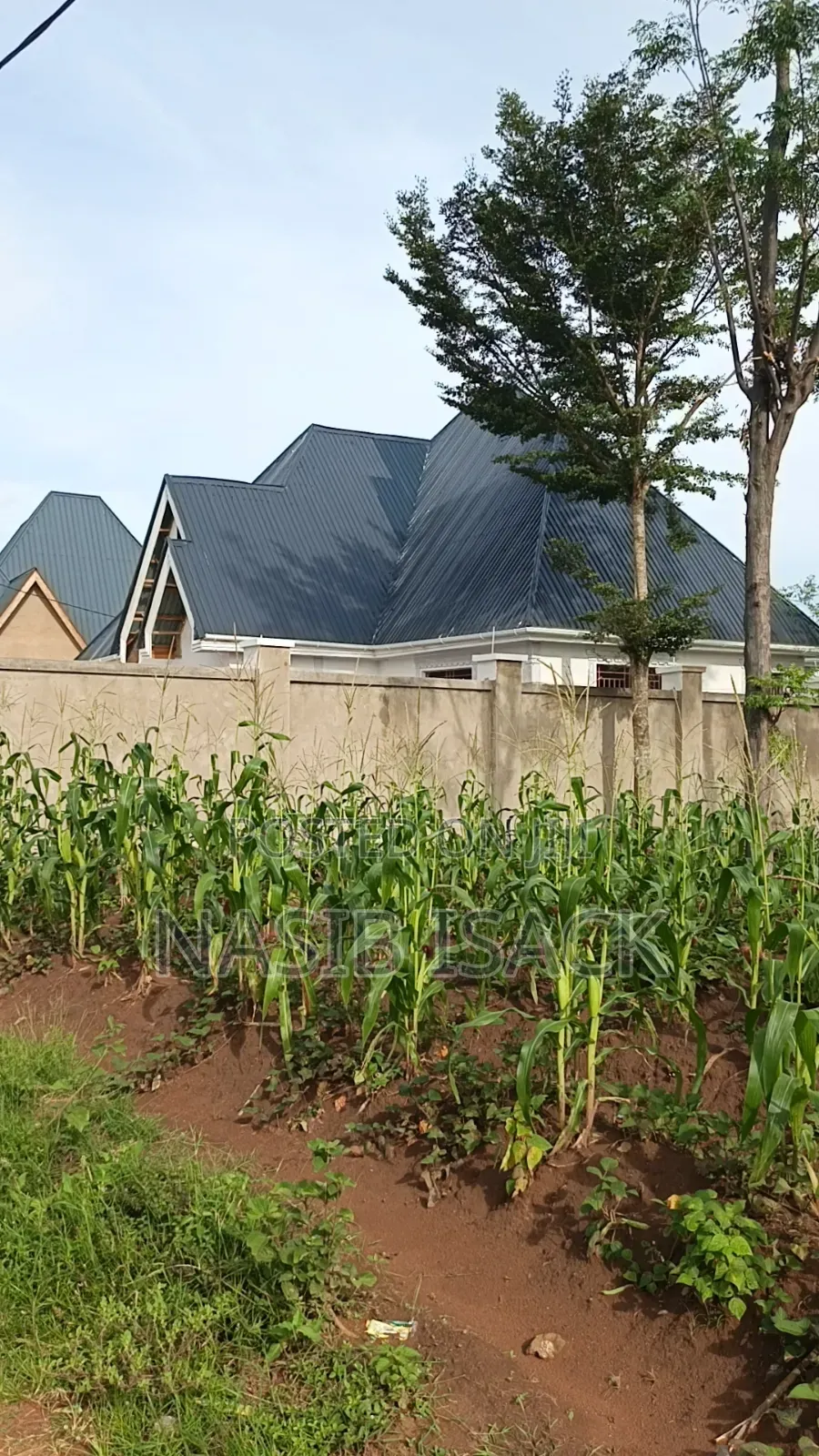 Plot for Sale Busweru Nyamadoke