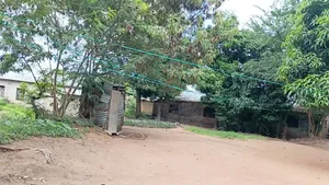 Plot for Sale Mwanza Butimba