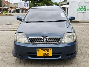 Toyota Corolla RunX 2006 Blue