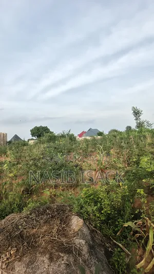 Plot for Sale Mwanza Busweru