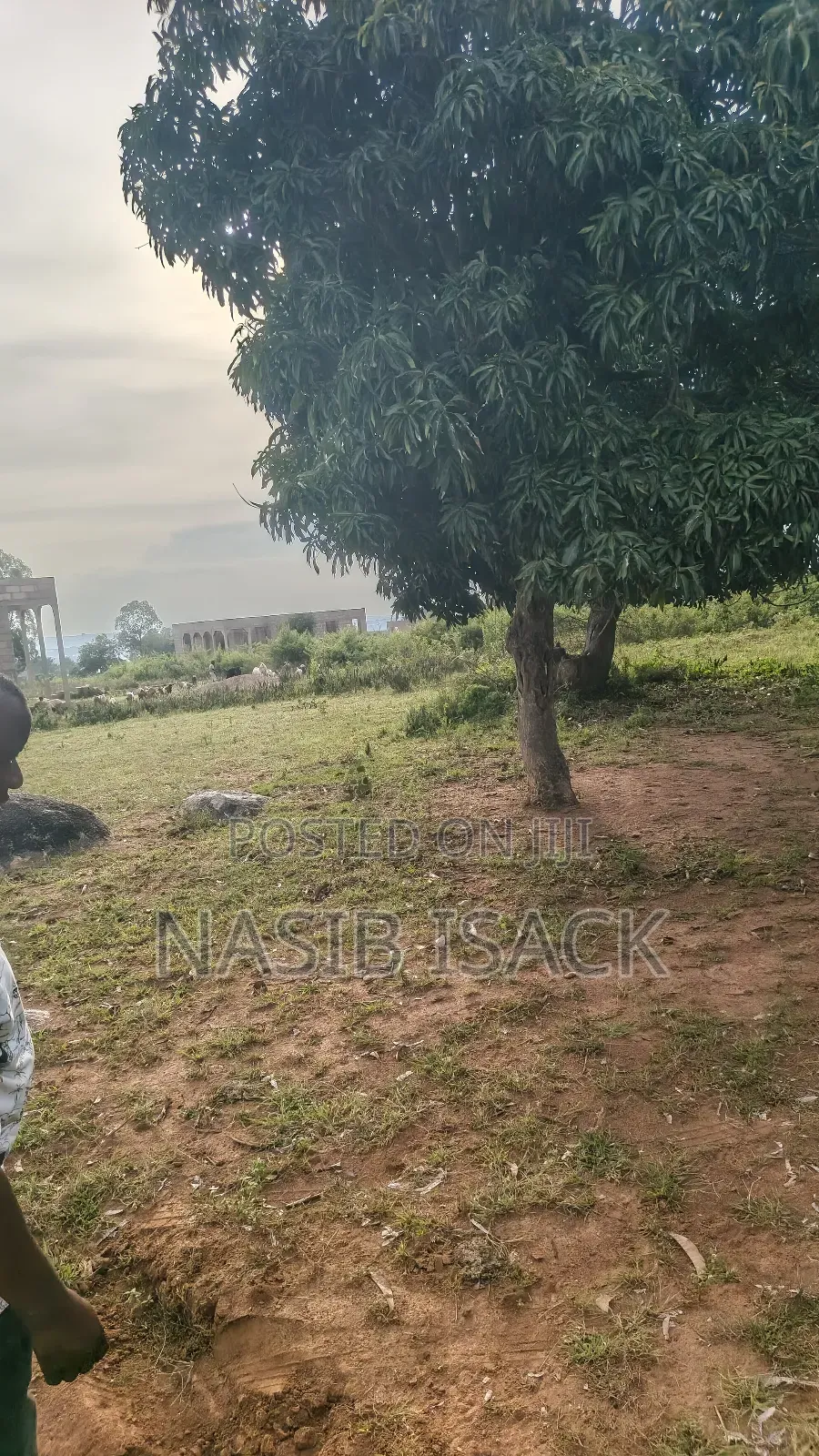 Plot for Sale Mwanza Busweru
