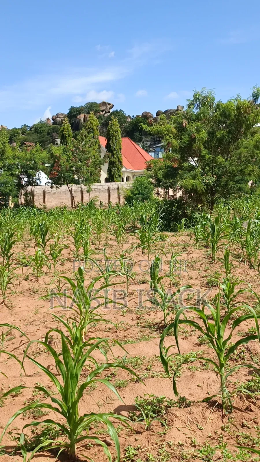 3bdrm House in Mkolani for sale