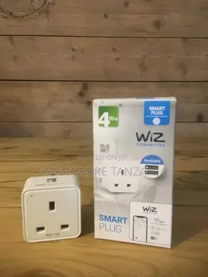 4lite Wiz Connected Smart Plug Google Alexa App 13a Uk