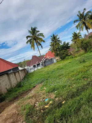 Plot for Sale Mwanza Kiseke