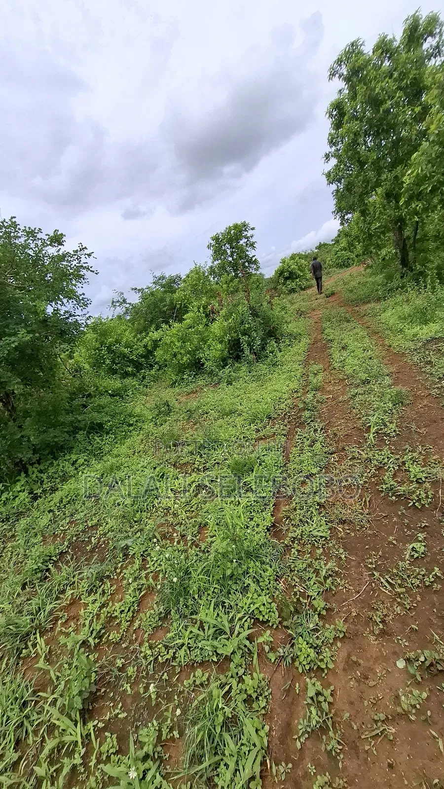 Plot at Dakawa Hector 30 Farming